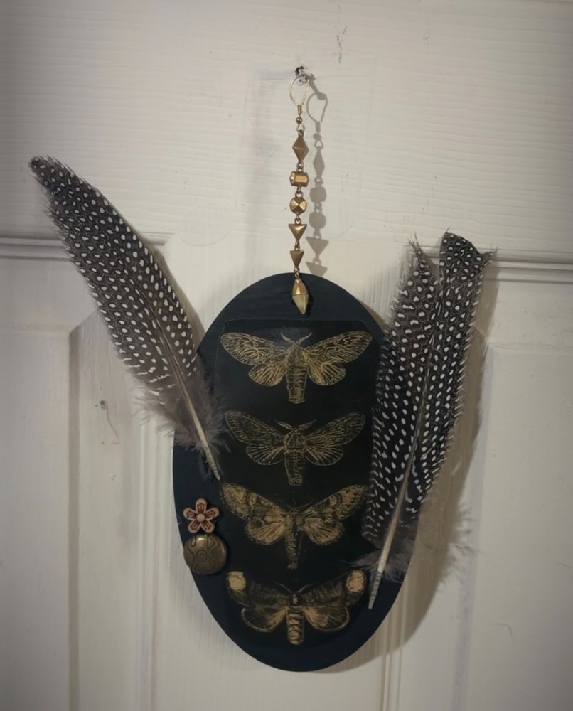 Vertical Moth Oddity Plaque Wall Decor Weird OOAK