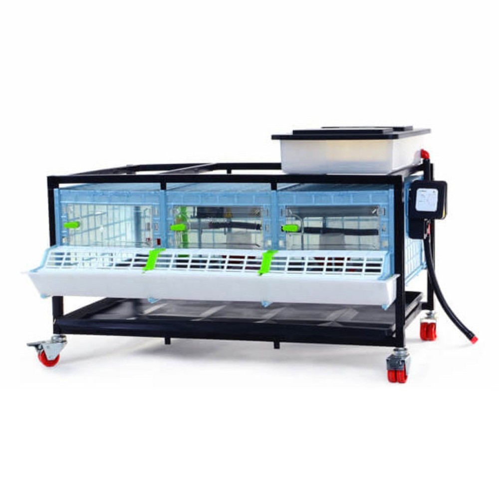 Chick Brooder - 1 Layer H: 9.5"