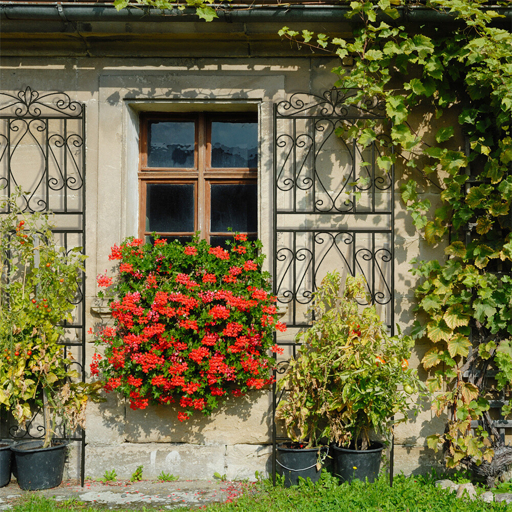 Garden Trellis For Climbing Plants Outdoor 2 Pack Large Rust Proof Garden Panels