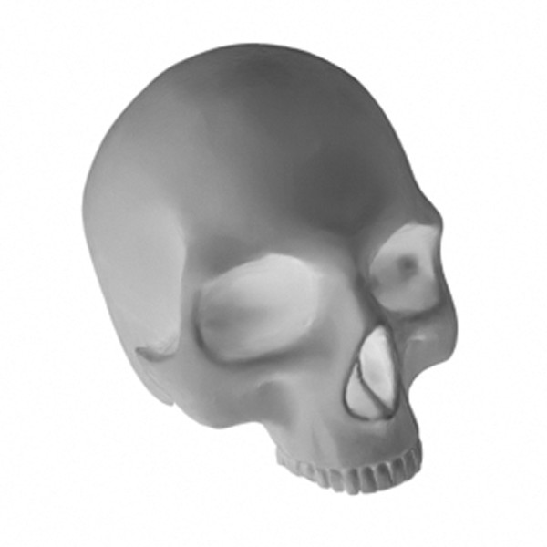 Skulls 1/24 - 1/25 Scale