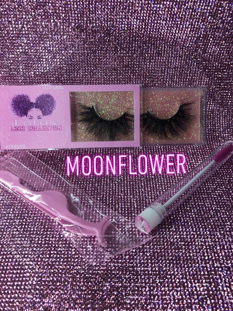 Moonflower