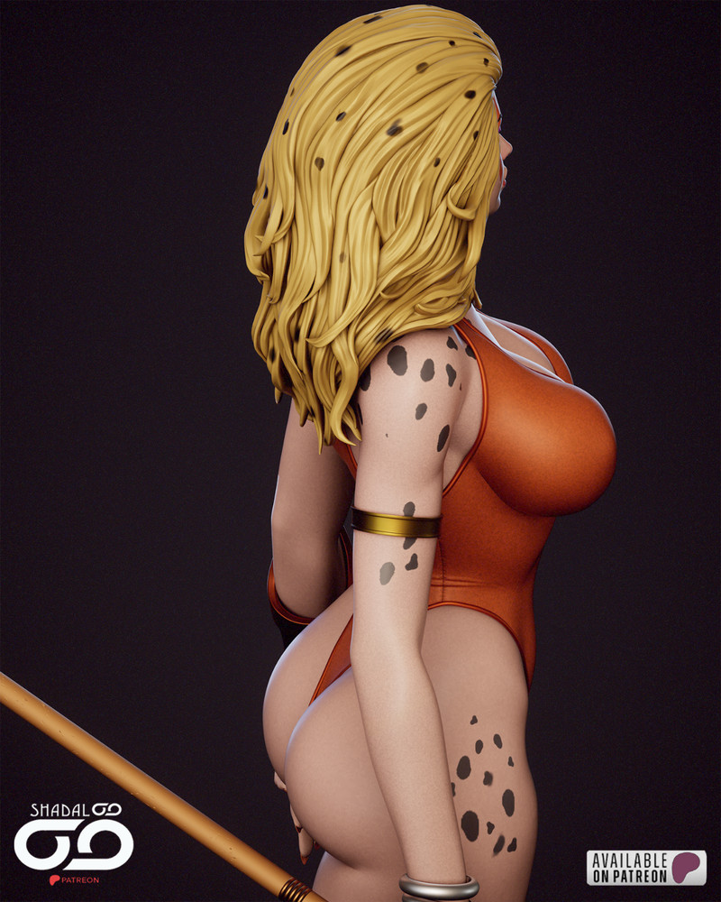 Cheetara, 12K Resin Model Kit Painted 3d Printed DIY Figure