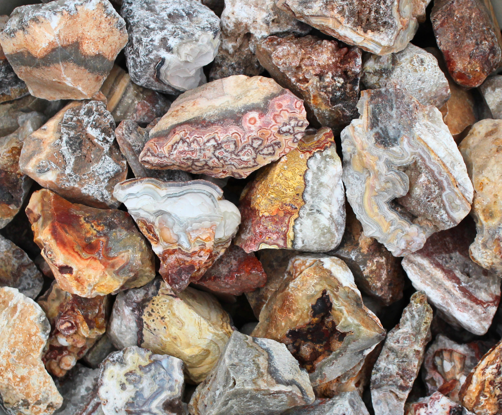 Crazy Lace Agate - Rough Rocks for Tumbling - Bulk Wholesale 1LB options