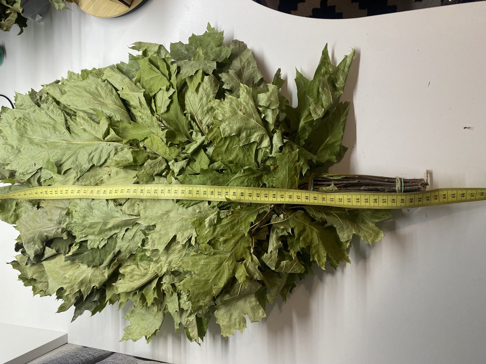 10 Oak with herbs lin brooms sauna banya venik Eiche whisks eco 2025 Ukrainian