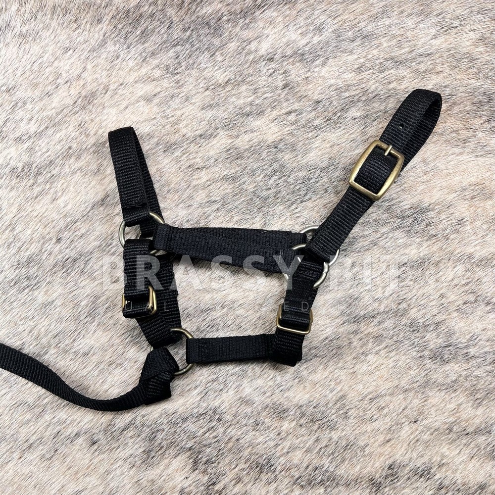 Mini Pony Halter
