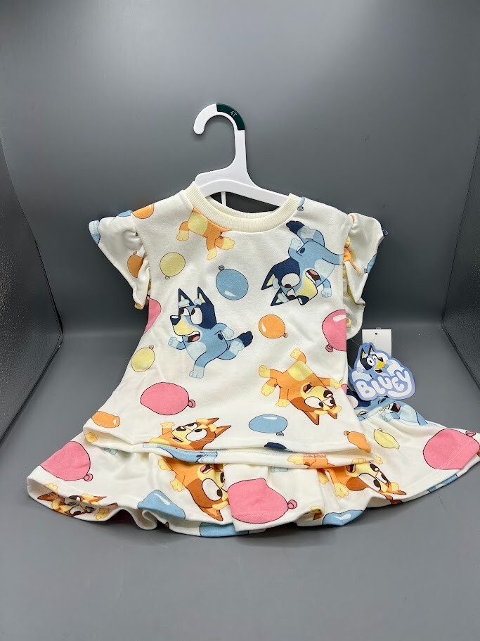 Brand New Bluey 2T 3T 4T 5T Skirt and Top Set IVORY TARGET PICK SIZE