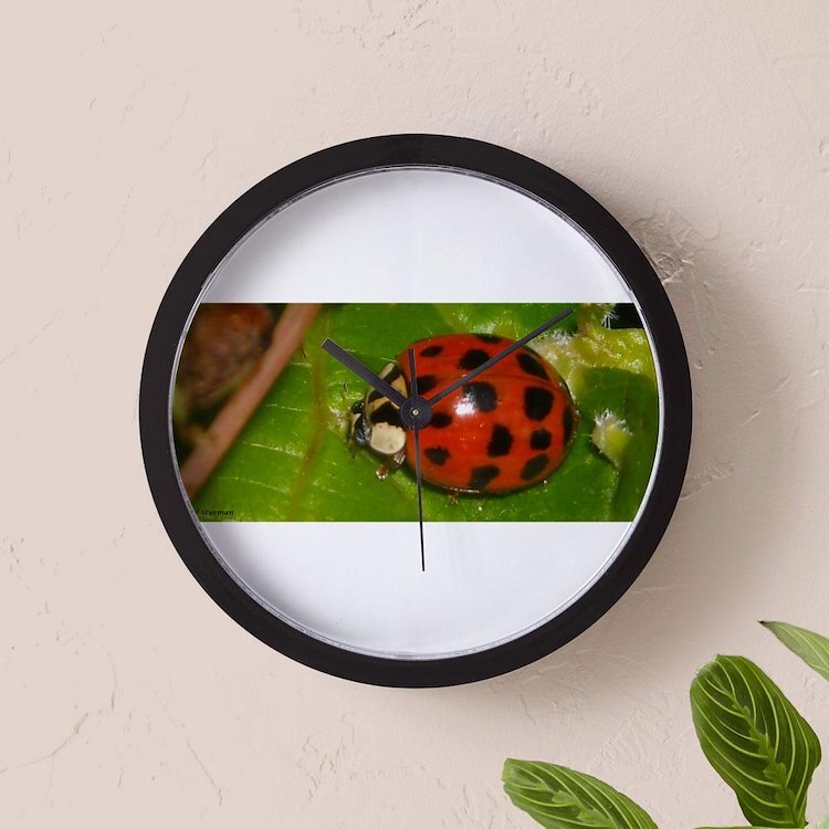 CafePress Ladybug On Leaf 10" Wall Clock (484130662)