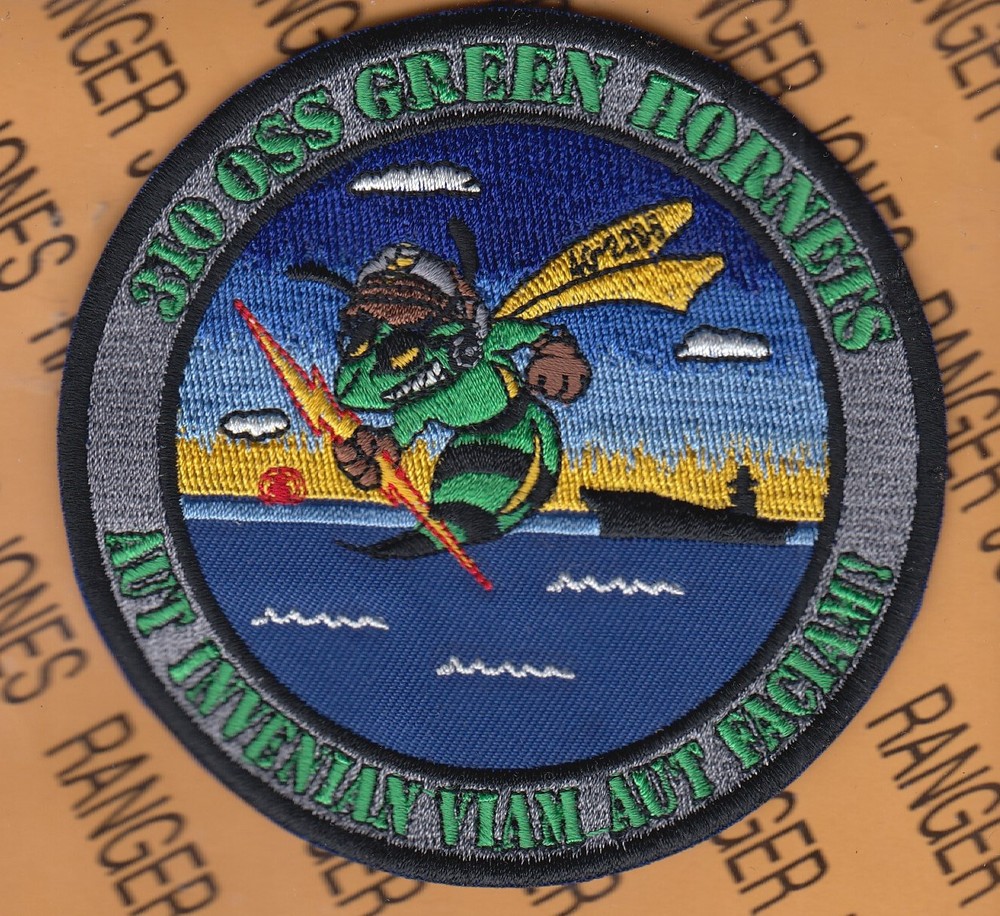 USAF Air Force 310th Operational Support Sq OSS Green Hornets 4" patch c/e