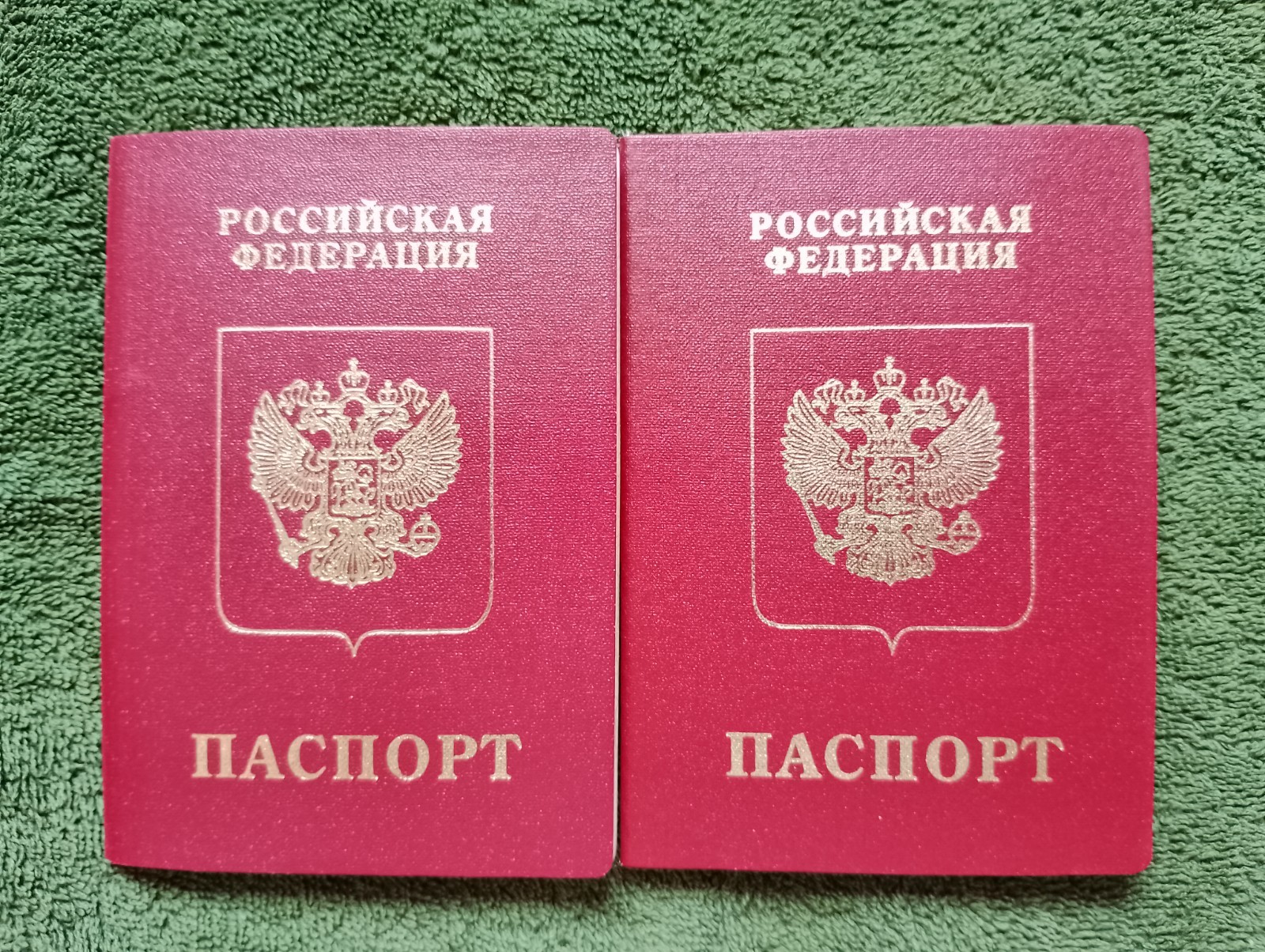 Two foreign travel passports belonging to a female Russian citizen.