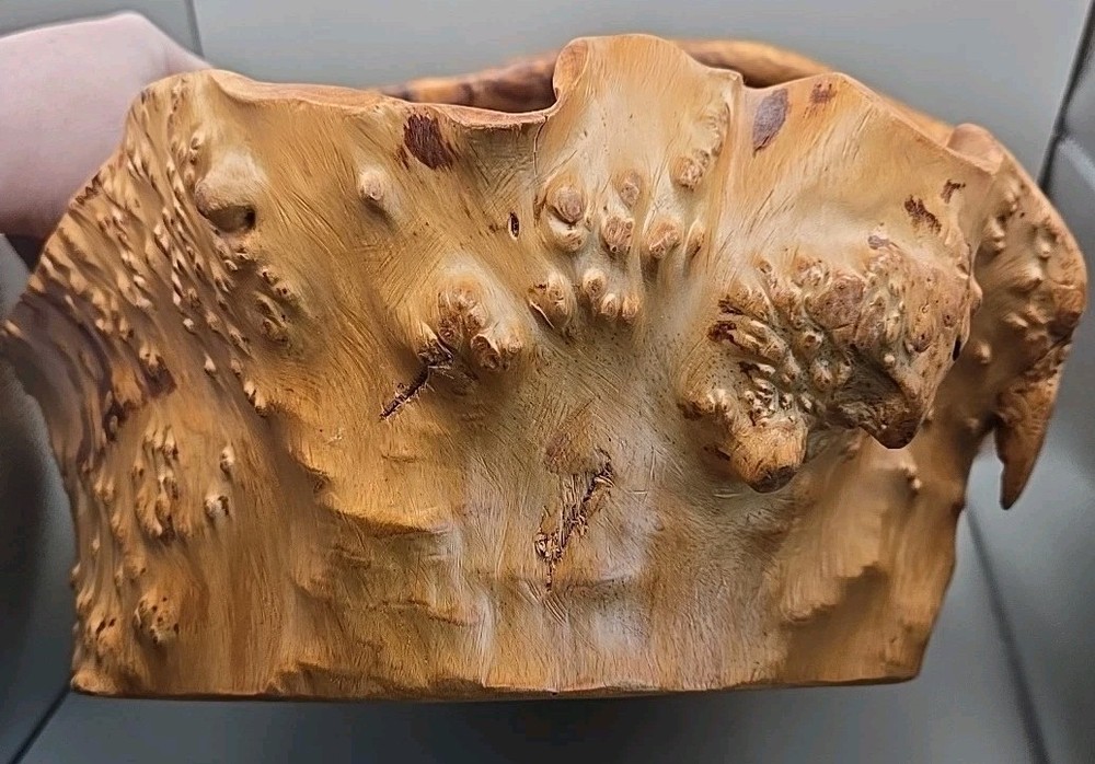 One Piece Solid Natural Burl Wood Handmade Bowl Basket Bumpy Wavy Rustic