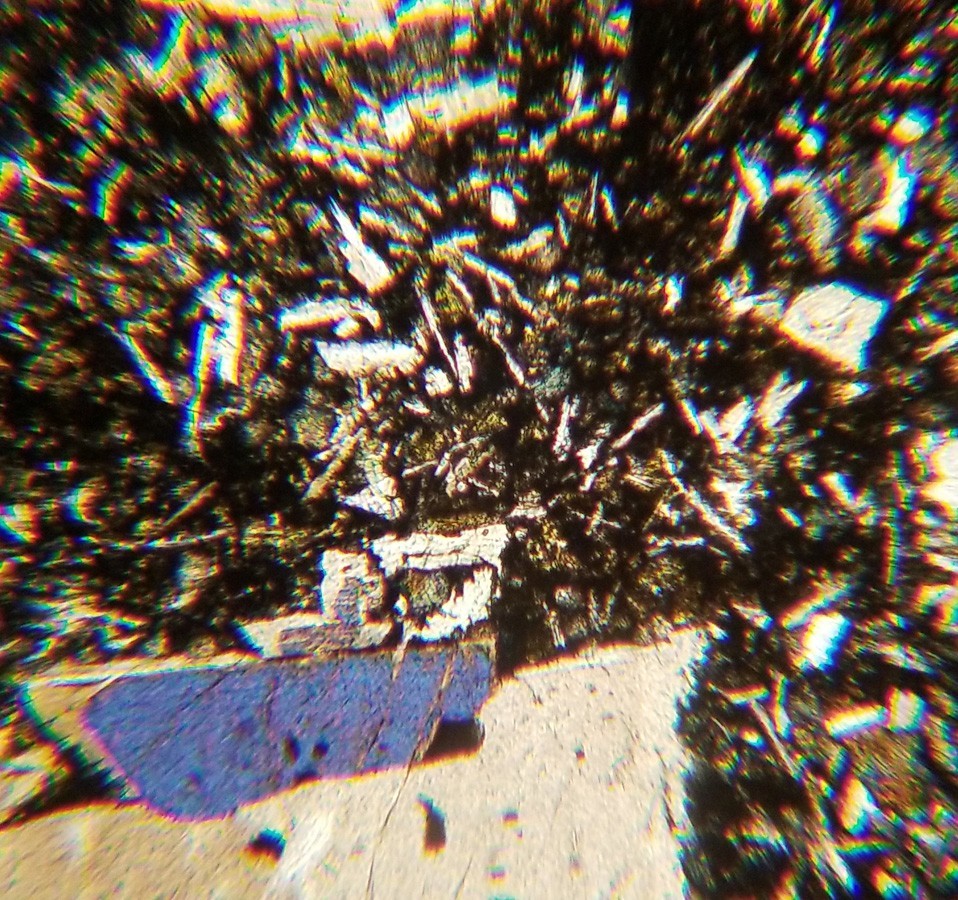 Thin-section Mount from DSDP Hole 292 Petrographic Microscope Slide 31-292-42-5