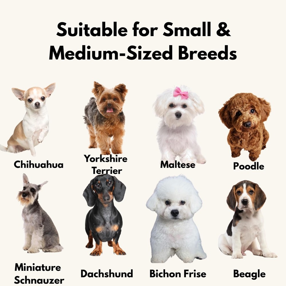 Woofoow Mesh Breathable Dog Muzzle for Small Dogs & Medium Medium, Black
