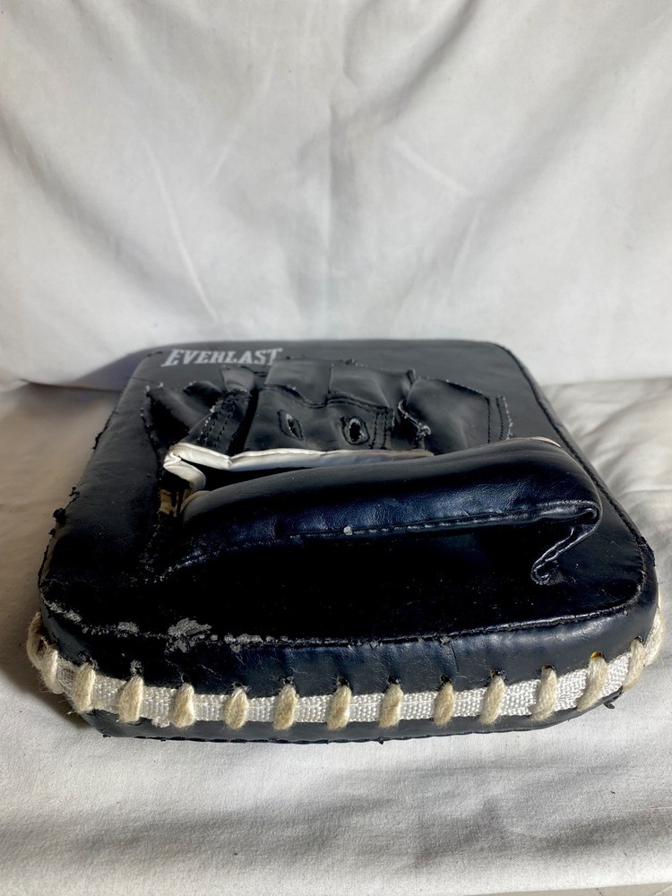 Everlast Boxing Training Gloves & Training Pad