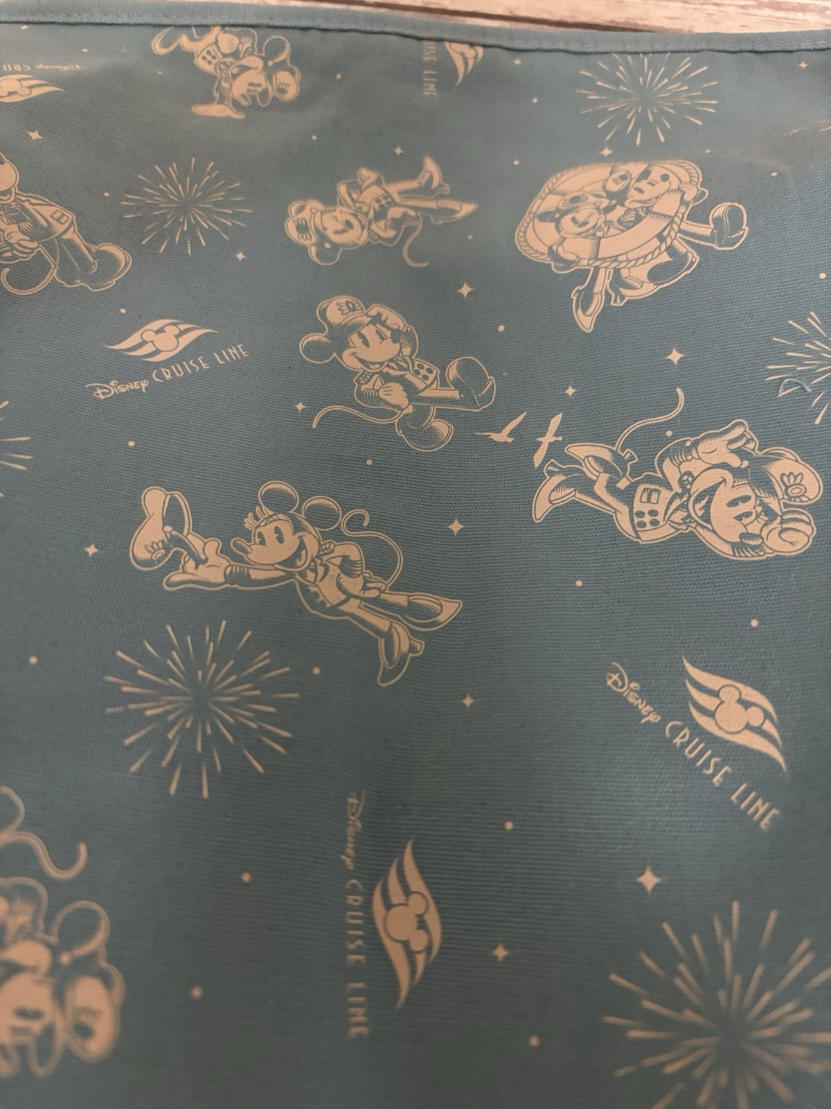 New DCL Disney Cruise Line Castaway Club Wet Dry Bag