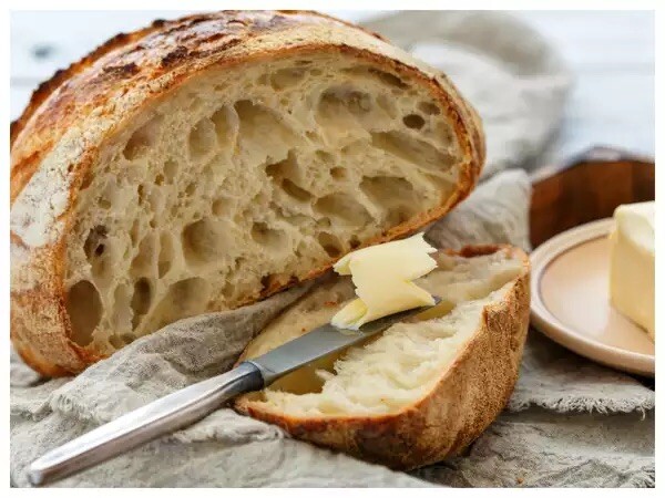 Dehydrated San Francisco sourdough starter