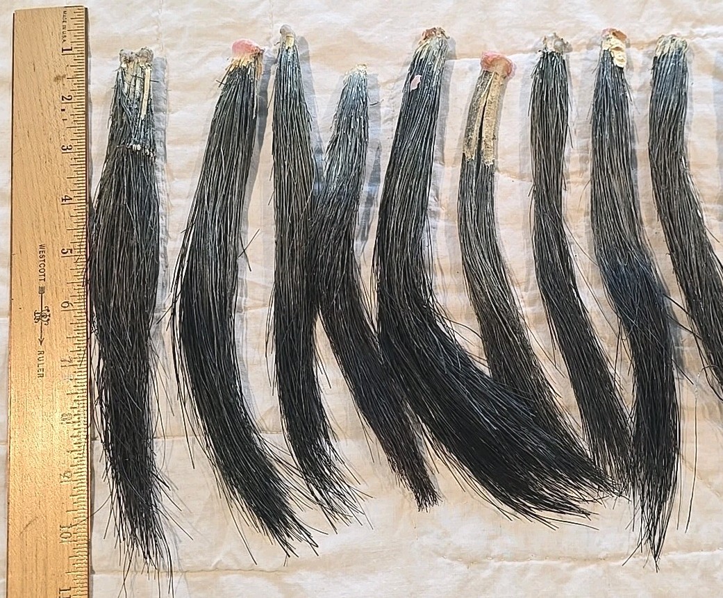 11 Giant Fat Wild Turkey Beards Taxidermy Bird Crafts 9-12" #1