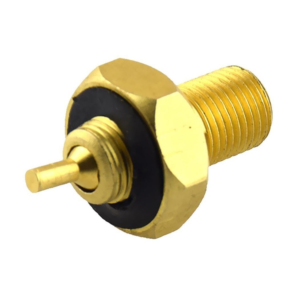 Internal Brass Tire Stem Adapter