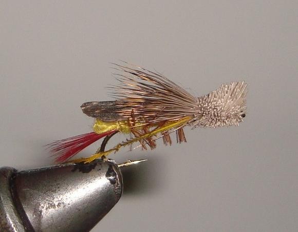 C/A FLIES  HOPPER DAVE'S #12 (12)