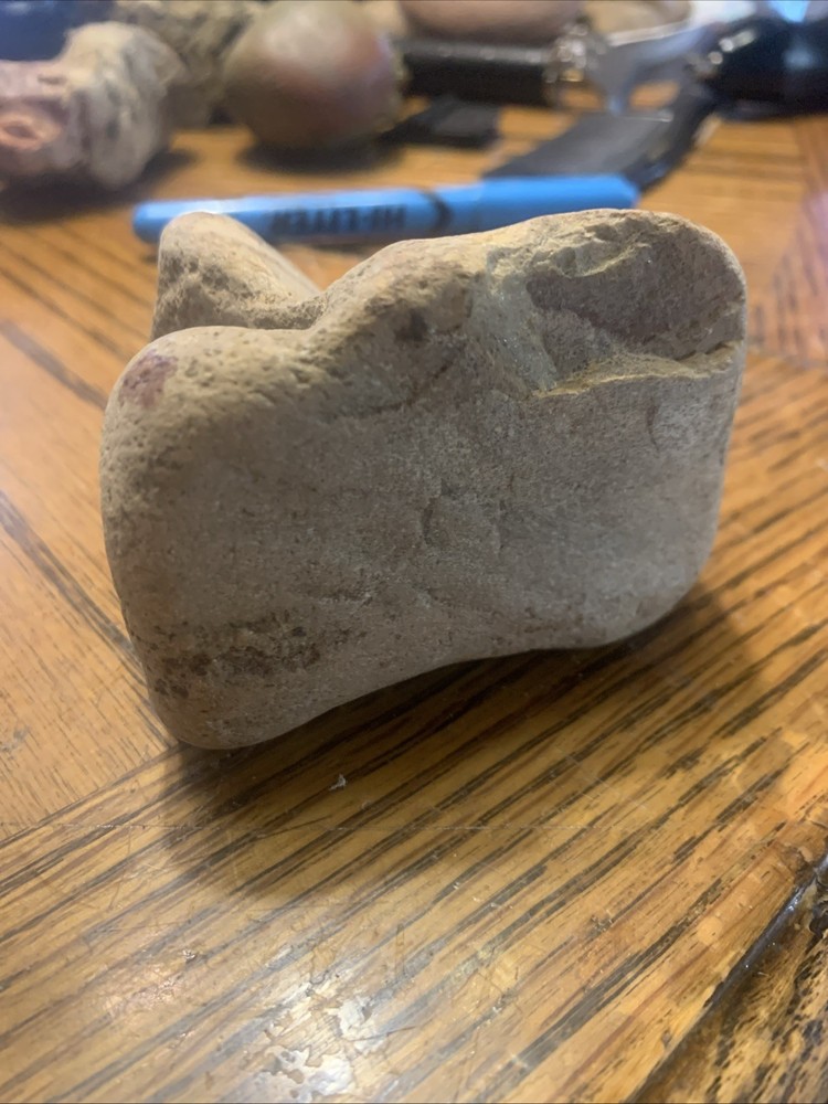 Fossils