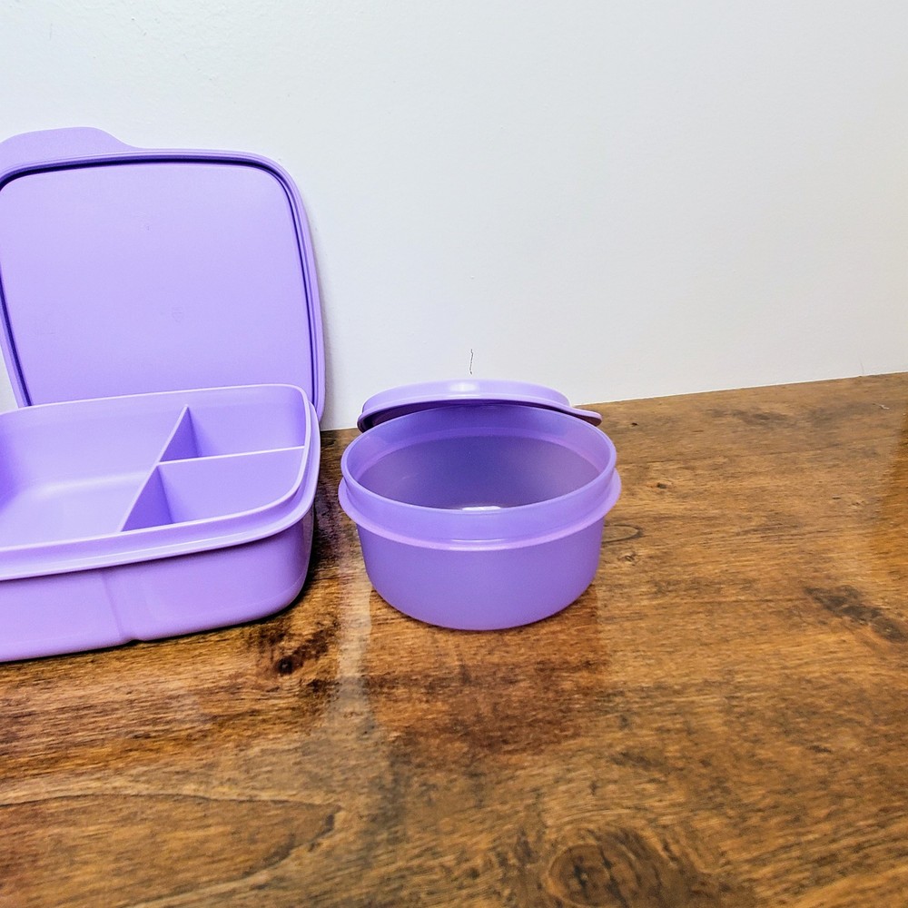 Eco-Friendly Tupperware Lunch Set Sandwich Box, Snack Container