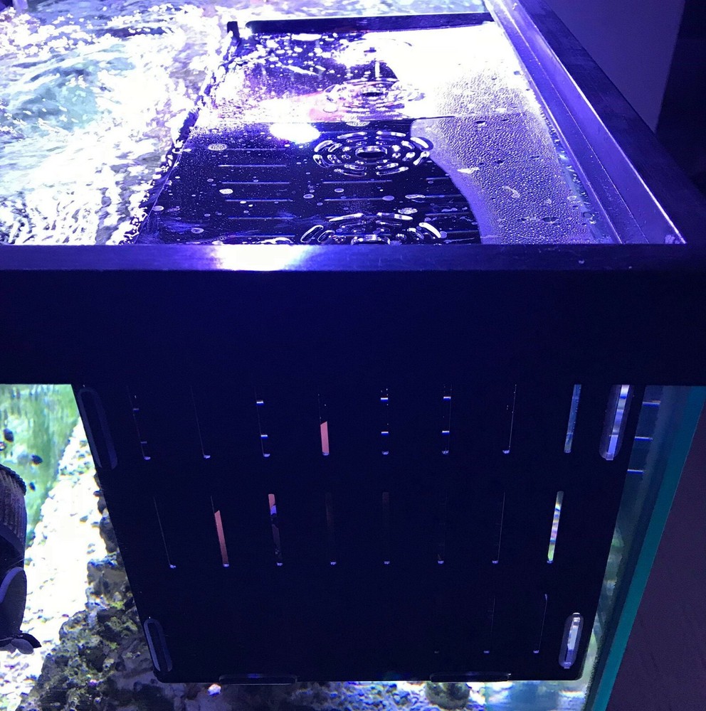 Back in two weeks Acrylic Acclimation Holding Net