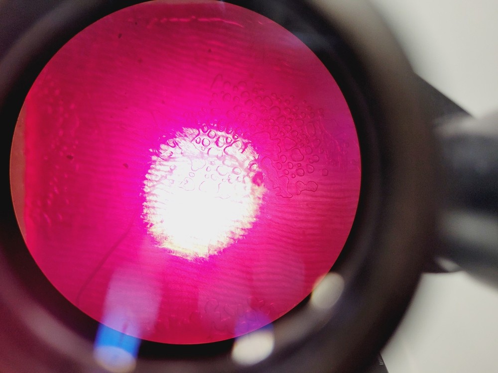 Prior PX042 Compound Microscope With Four Objectives Lab