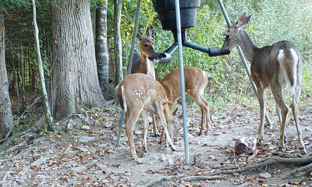 SPYDER Gravity Feeder Attachment