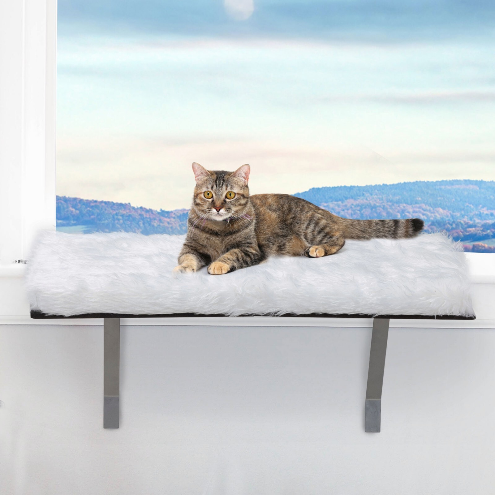 COZIWOW Cat Perch Cat Hammock Window Seat Padded Cat Wall Bed for Sunbathing