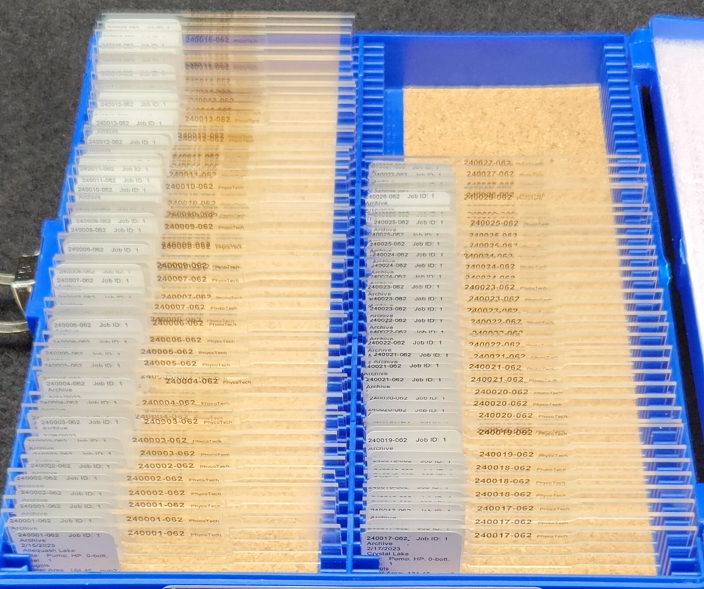 New Microscope Slides
