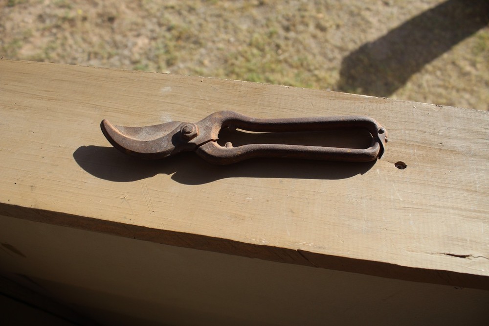 Vintage Pruning Shears, hand pruners