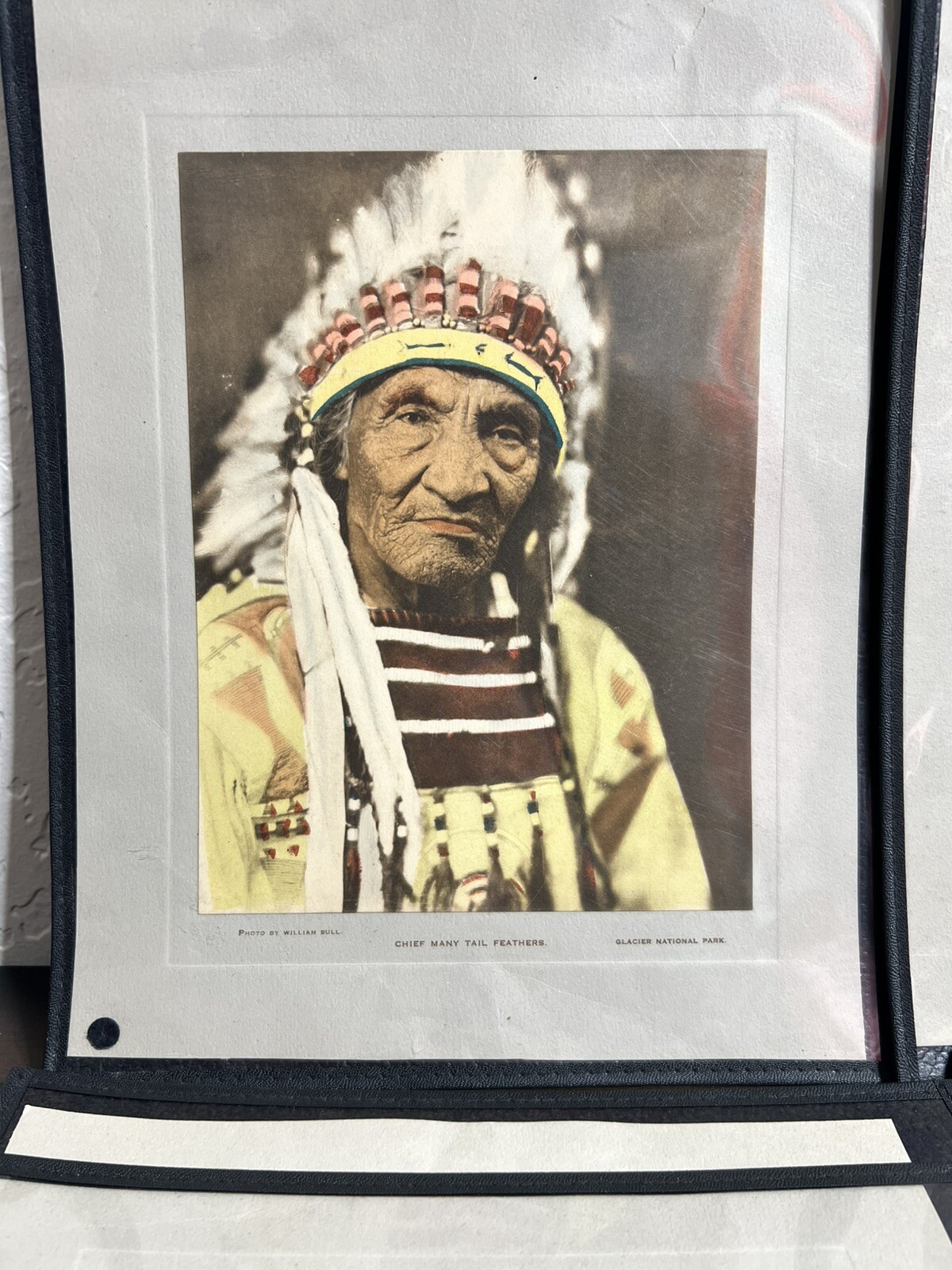 Lot Of 6 1915 William Bull Blackfeet Nation Native Collotypes Photographs Rare