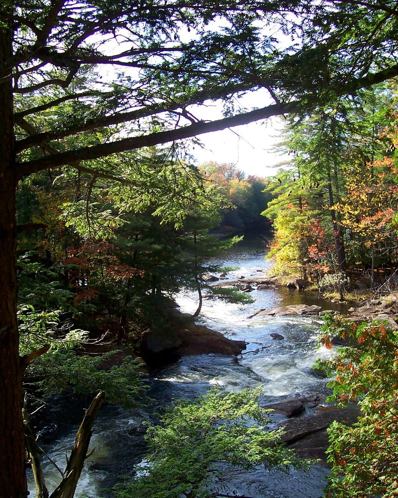 Adirondacks Photography Print
