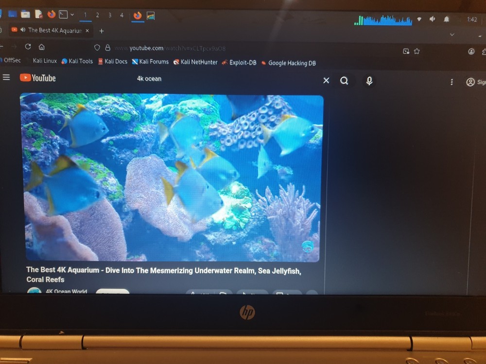 Linux Kali 2025.4, 64-bit, Bootable Live and Install USB Flash Drive