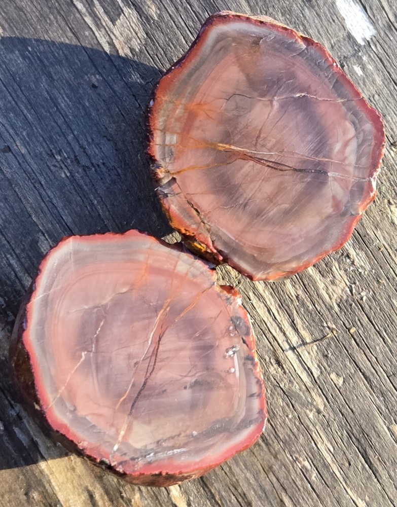 Royal Imperial Jasper Nodule Cut In Half Beautiful Egg Circle Pattern Rough