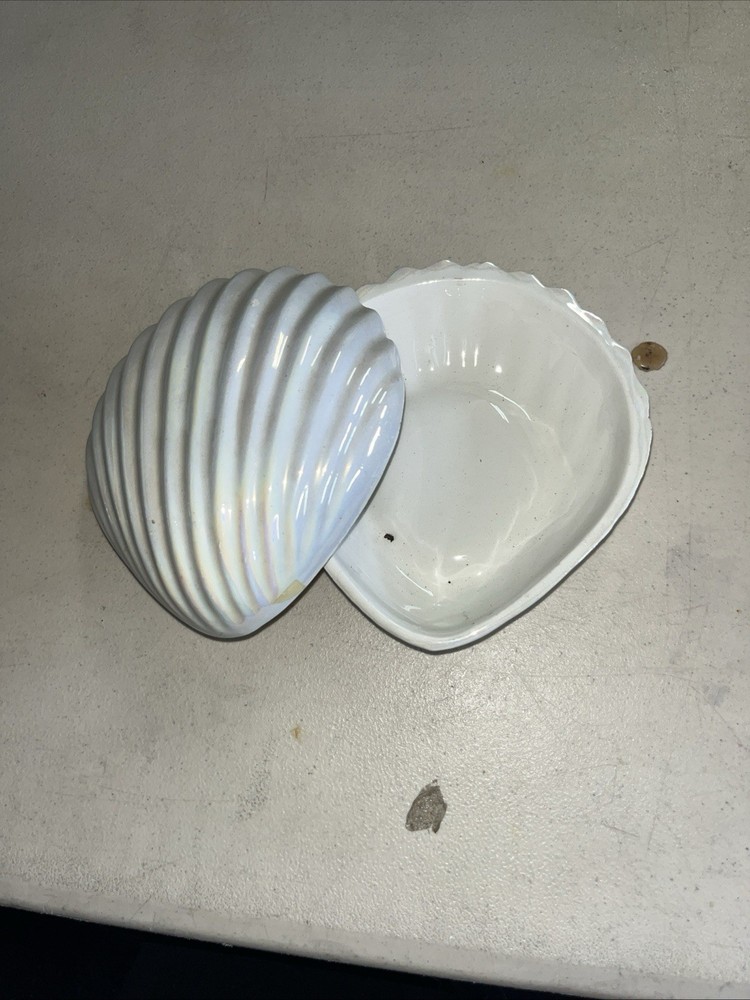 Iridescent Pearlized Sea Shell Vintage