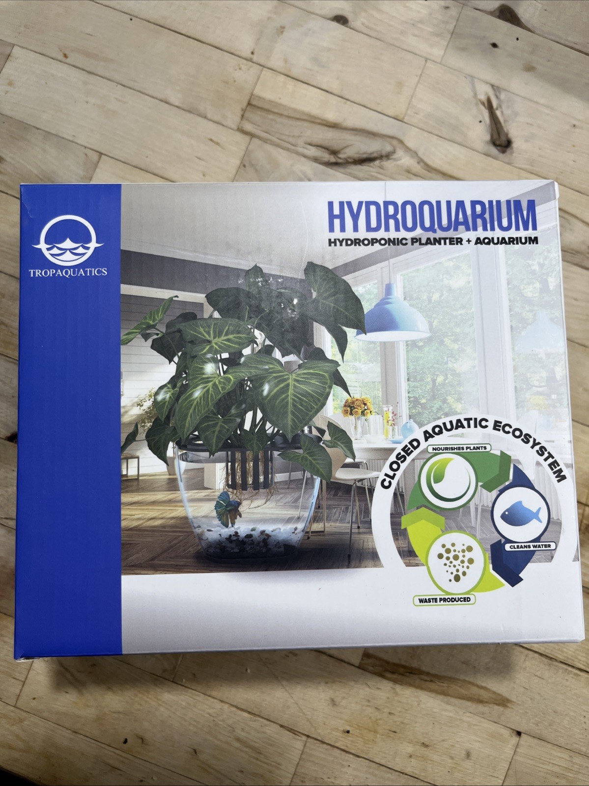 Hydroquarium Hydroponic Planter Aquarium Betta Fish Habitat Closed Ecosystem New