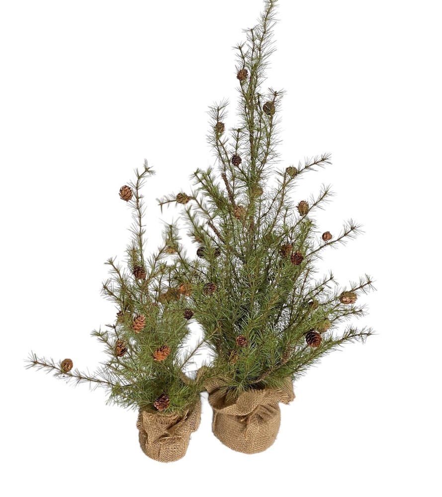 2 Rustic Farmhouse Feathered Pine CHRISTMAS TREES WITH PINE CONES Burlap Base