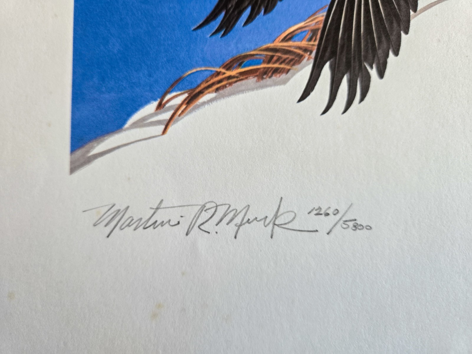 RARE-1977 (RW44)- Federal Duck Stamp Print *Martin Murk* Remarqued