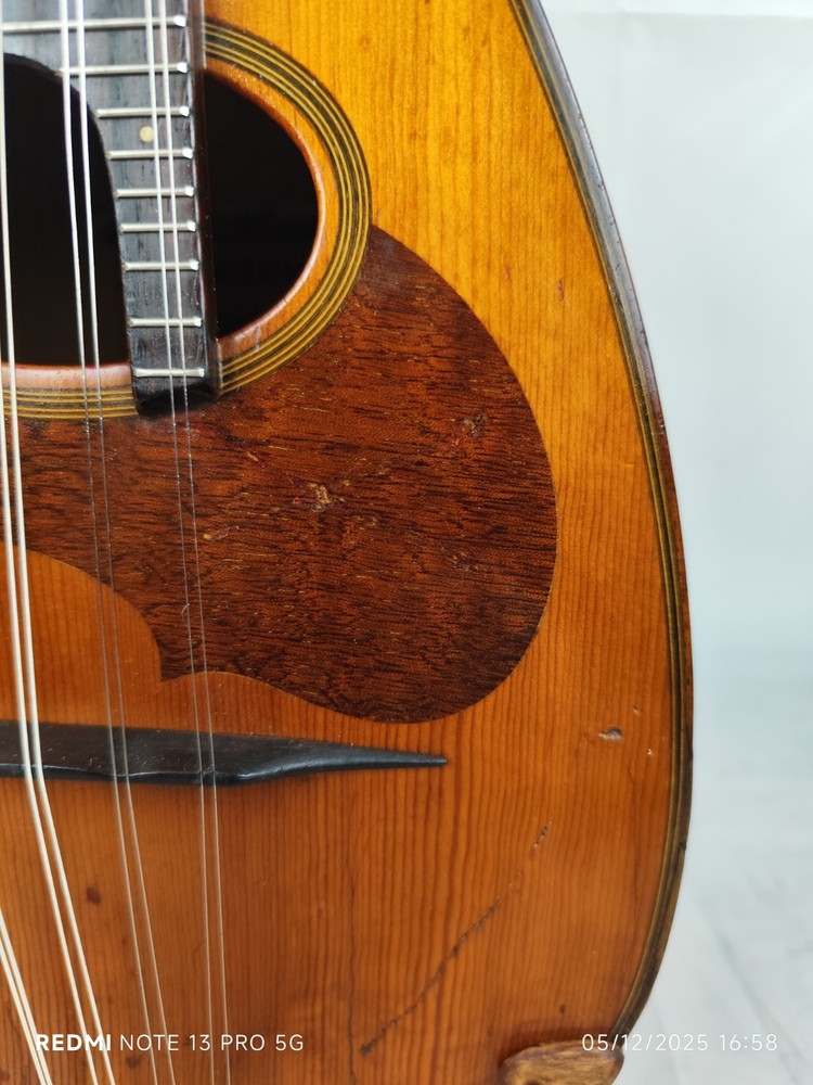 Suzuki Model M-30 4/4 Mandolin 曼陀林 만돌린マンドリン