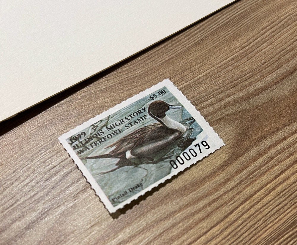 1979 ILLINOIS - State Duck Stamp Print **JOHN EGGERT** with STAMP!