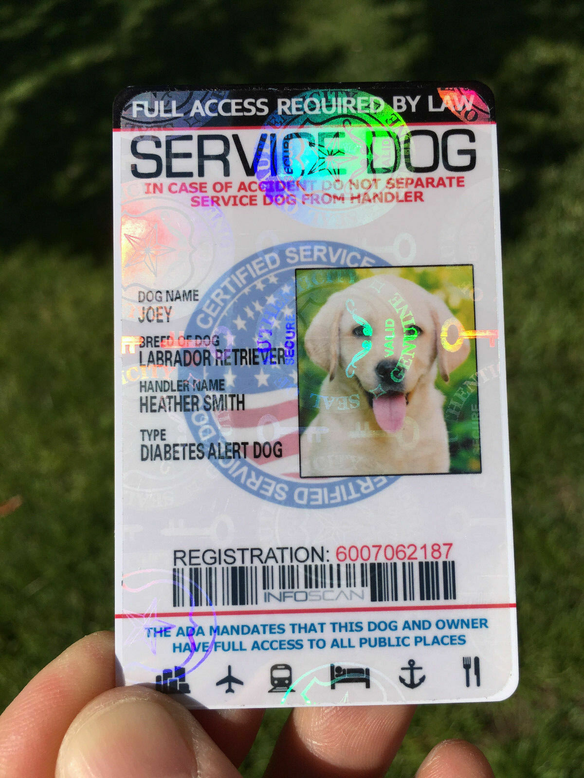 PROFESSIONAL HD PRINTED SERVICE DOG ID CARD CUSTOMIZE  ANIMAL BADGE TAG
