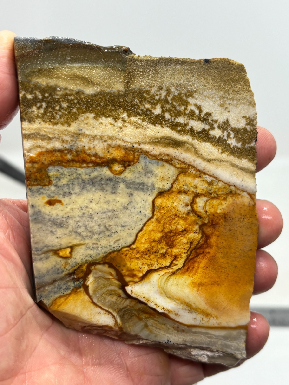 Disaster Peak Picture Jasper Slab Cabbing Lapidary Collecting Combo Ship Avail