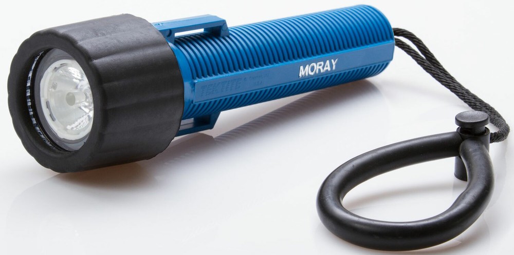 Moray Divers Communication Torch LED Flashlight/Noisemaker
