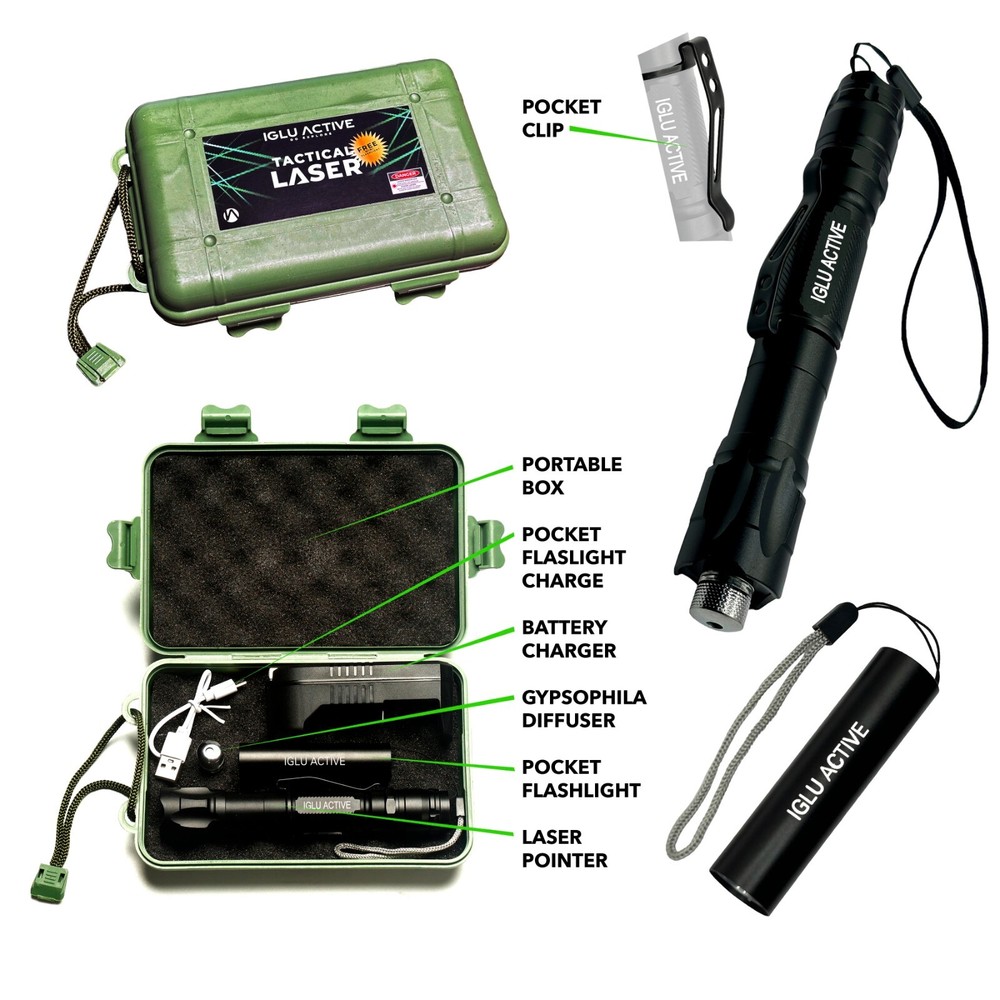 GREEN LASER POINTER High Power + Free Pocket Flashlight and Case