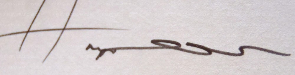 Fiona Apple Concert Poster Seattle 2005 Justin Hampton