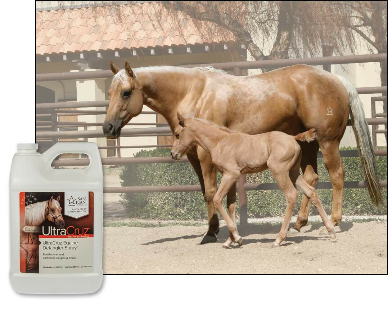 UltraCruz Equine Detangler Spray for Horses, 1 Gallon