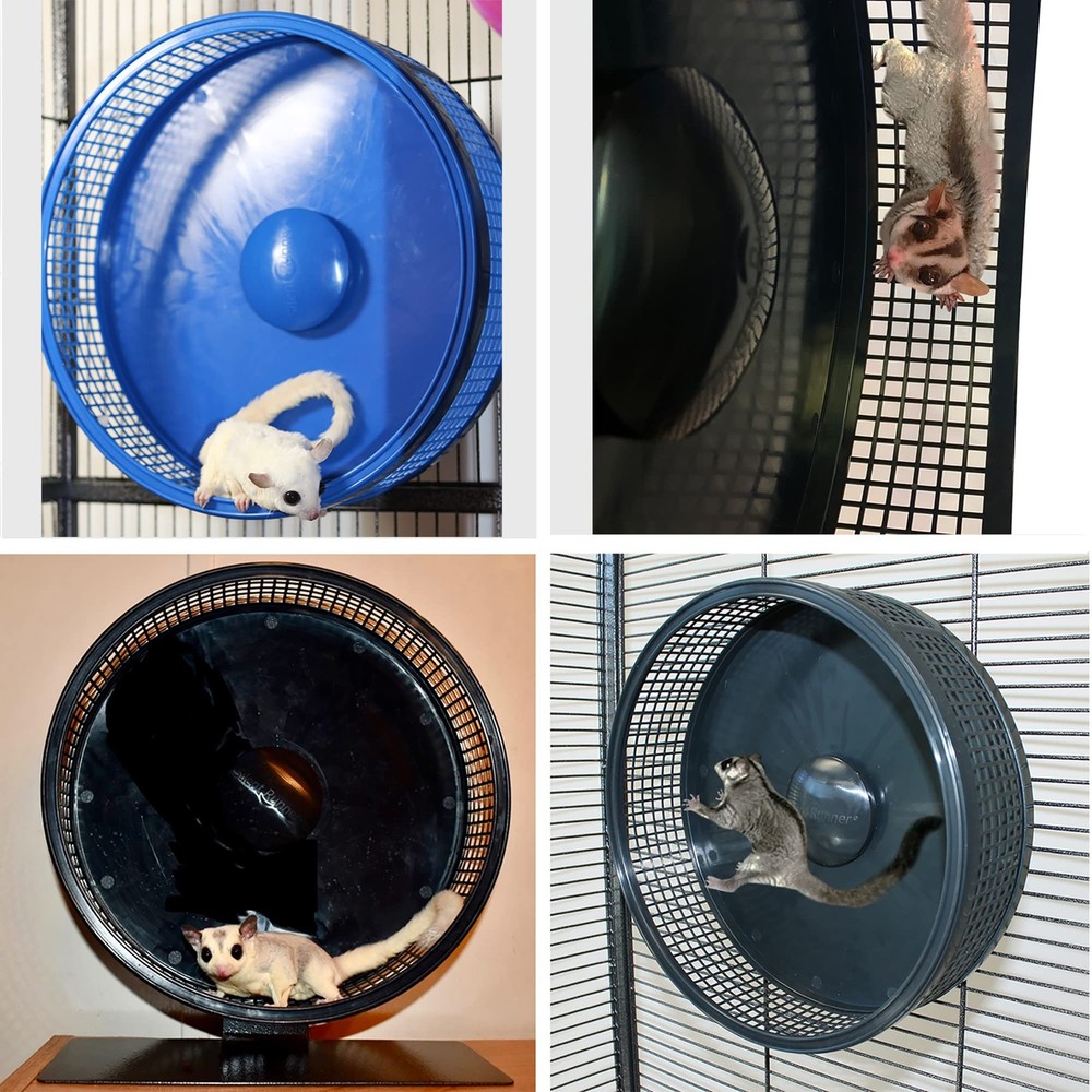 Silent Runner Pro Sugar Glider Exercise Wheel Blue With Attachment Durable
