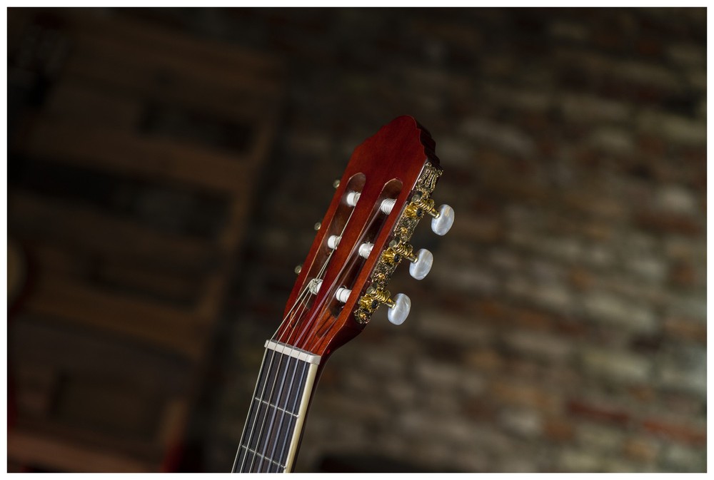 Peavey Delta Woods CNS-2 Classical Nylon String Guitar