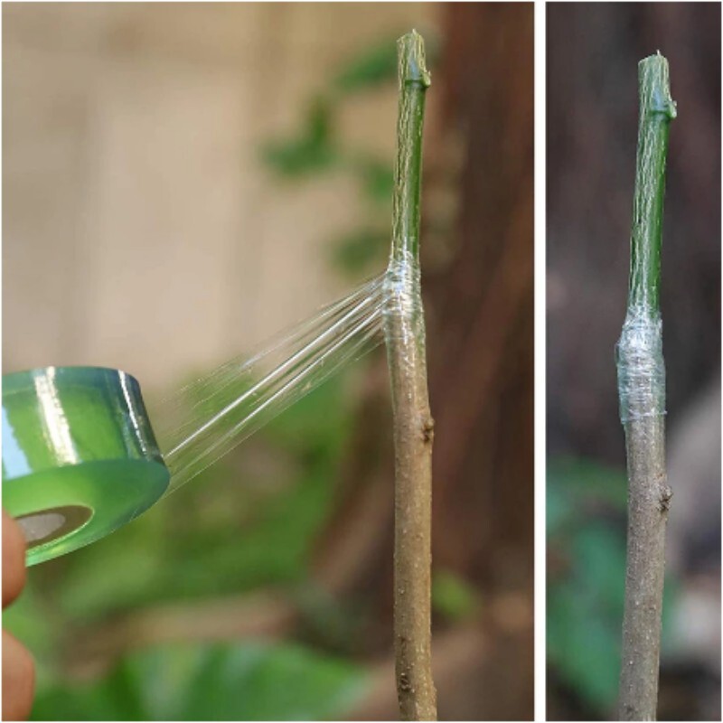 Grafting Tape Garden Tree Seedling Self-adhesive Stretchable Pruning Parafilm