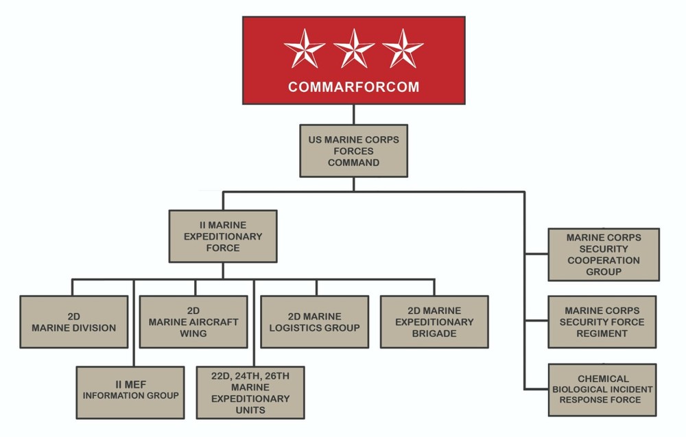USMC 2nd FORCE RECON CO US Marine Corps Forces Command (MARFORCOM) vêlkrö PATCH